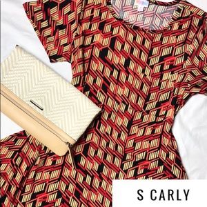 NWT Carly swing dress